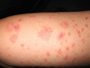 ʪ����ô������ȥ��