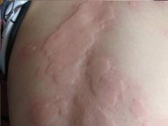 �ɶ�ݡ�����ԭ��