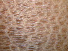 ��ͬ���͵����۲���ô���