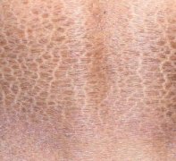 �ɶ������������۲�Ч����